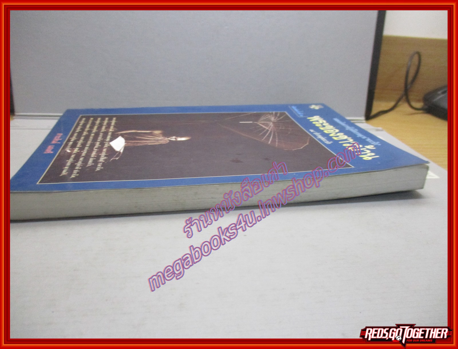 พระของชาวบ้าน 14ปราชญ์พระป่า / สาระสันต์ แสงศรี (มือสอง) (สภาพ85-95%)