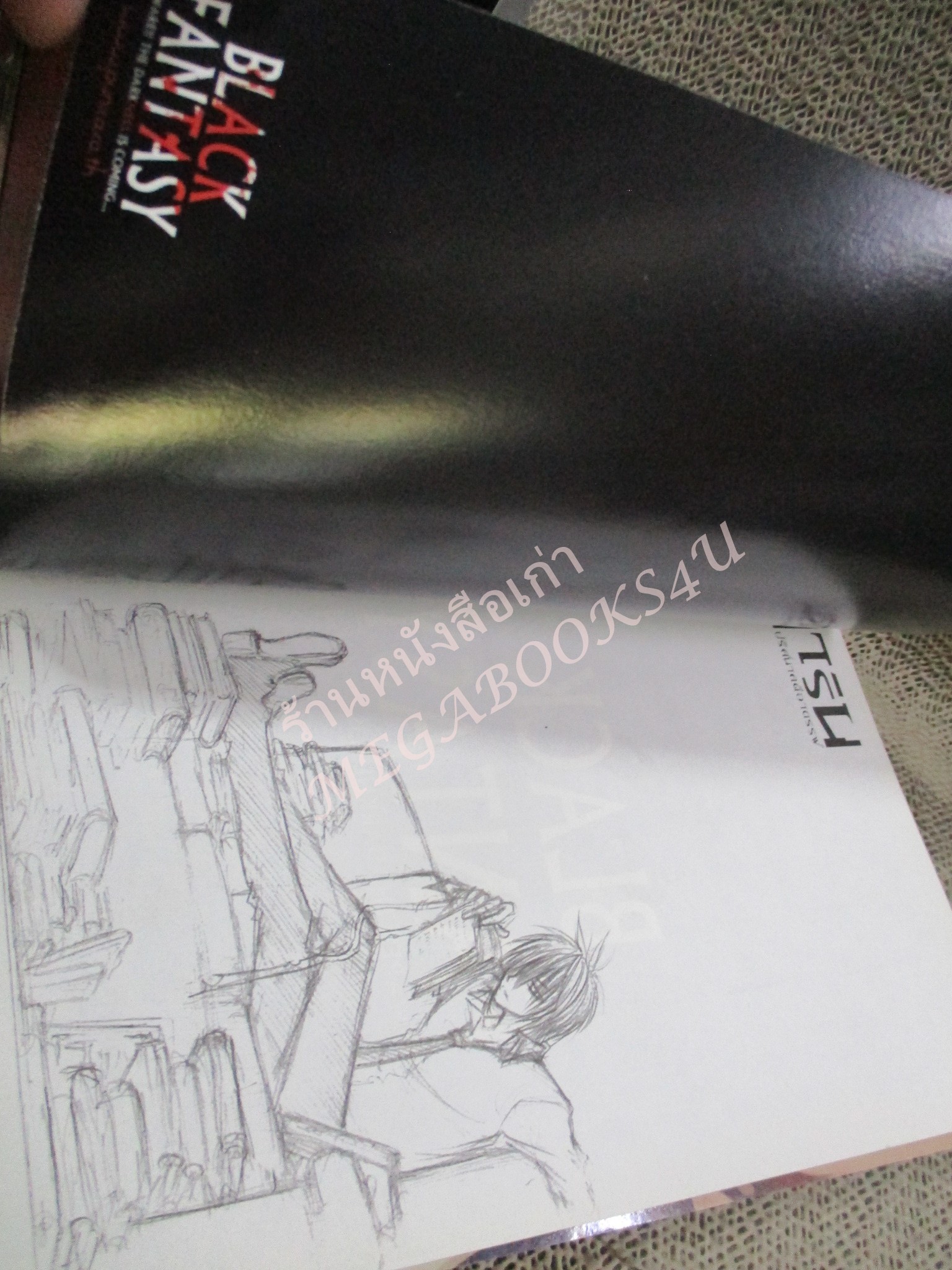 การ์ตูน การิน ปริศนาคดีอาถรรพ์ ภาค คดีที่2 ขบวนแห่ภูต ป่าอาถรรพ์ (ภาคแรก+ภาคจบ รวม2เล่ม) / อัยย์ / Punica /