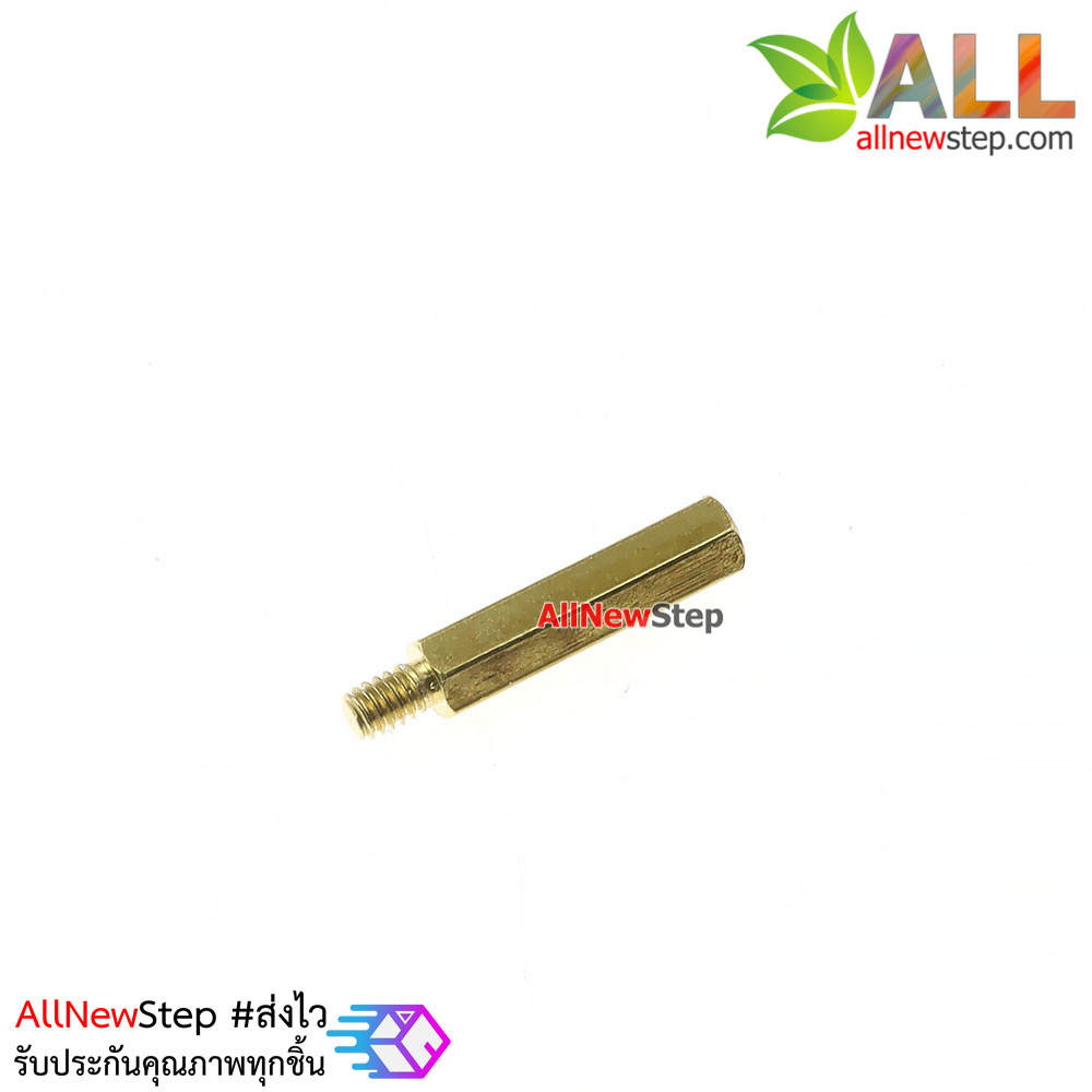 น็อตทองเหลือง NUT M2 ขนาด 12+3mm