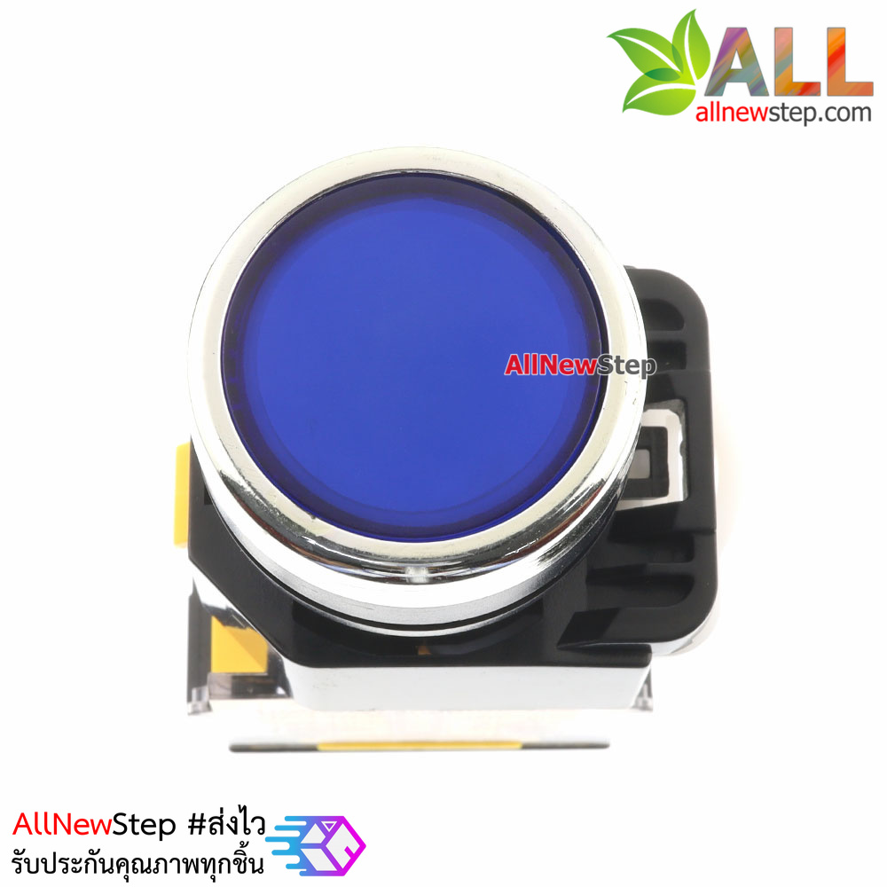 สวิตช์กดติดปล่อยดับ/กดดับปล่อยติด/รีเซตสวิตช์ AC DC 10A ปุ่มกดสีน้ำเงิน