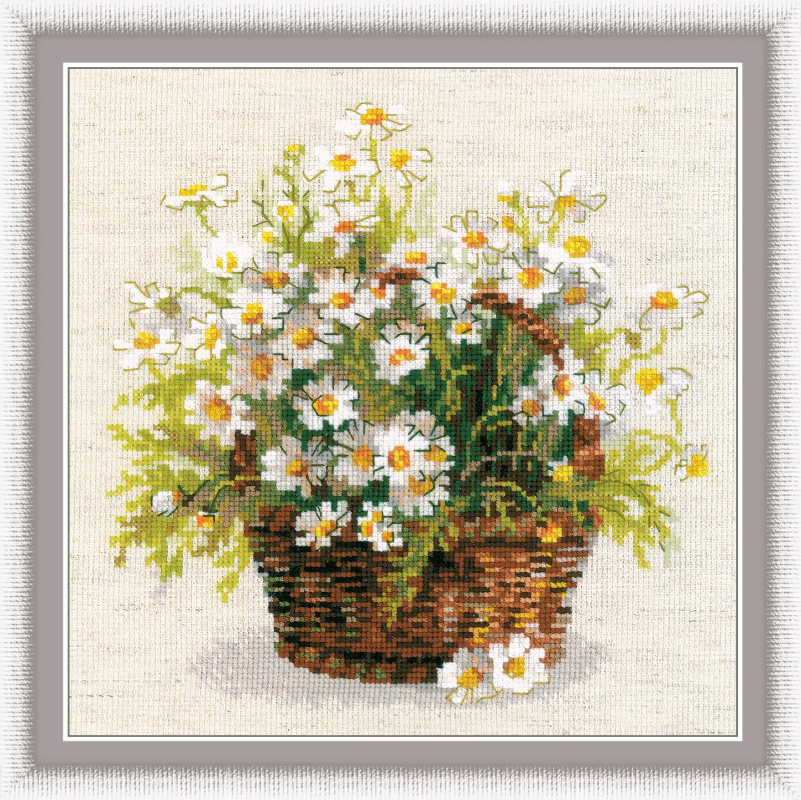 Riolis Russian Daisies
