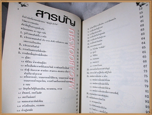 การเลี้ยงปลาทองพันธุ์หัวสิงโต โดย ประยูร จรรยาวงษ์