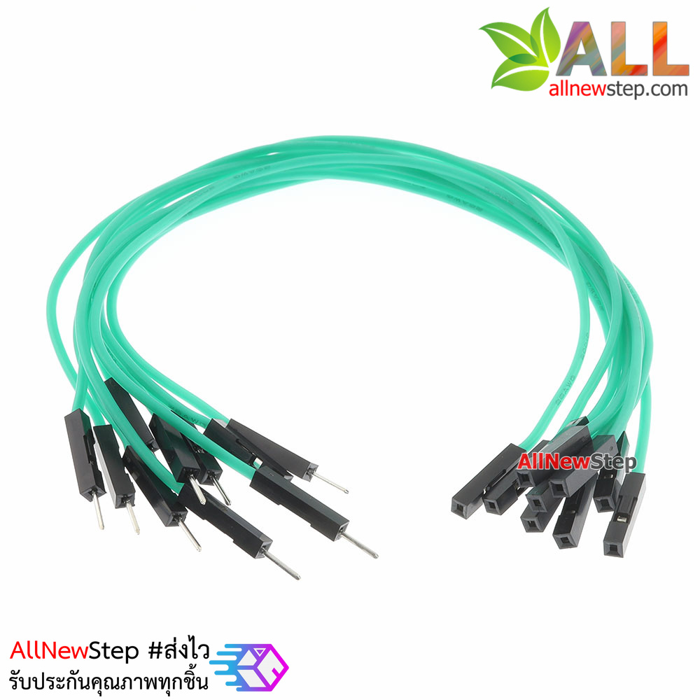 สายไฟจัมเปอร์ 20cm สาย jumper 20 cm จำนวน 10 เส้น ผู้-เมีย สีเขียว