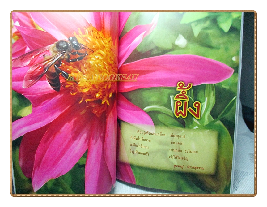 สารานุกรมไทยสำหรับเยาวชนฉบับเสริมการเรียนรู้ เล่ม17 โดยพระราชประสงค์ในพระบาทสมเด็จพระเจ้าอยู่หัว