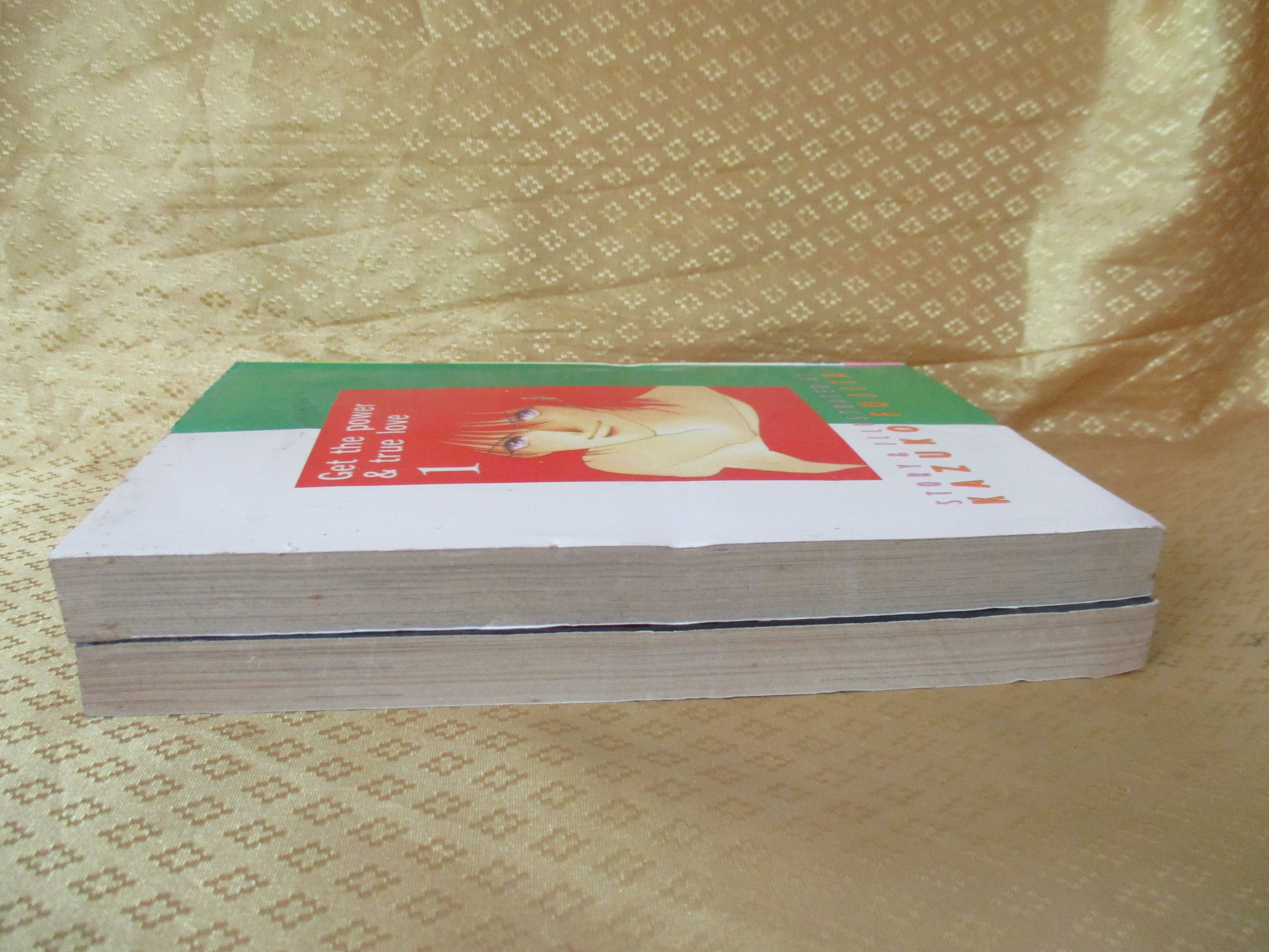 การ์ตูนบ้าน รักแท้ไม่แปลกหน้า ครบชุด2เล่มจบ โดย KAZUKO FUJITA สนพ.NEW PROJECT