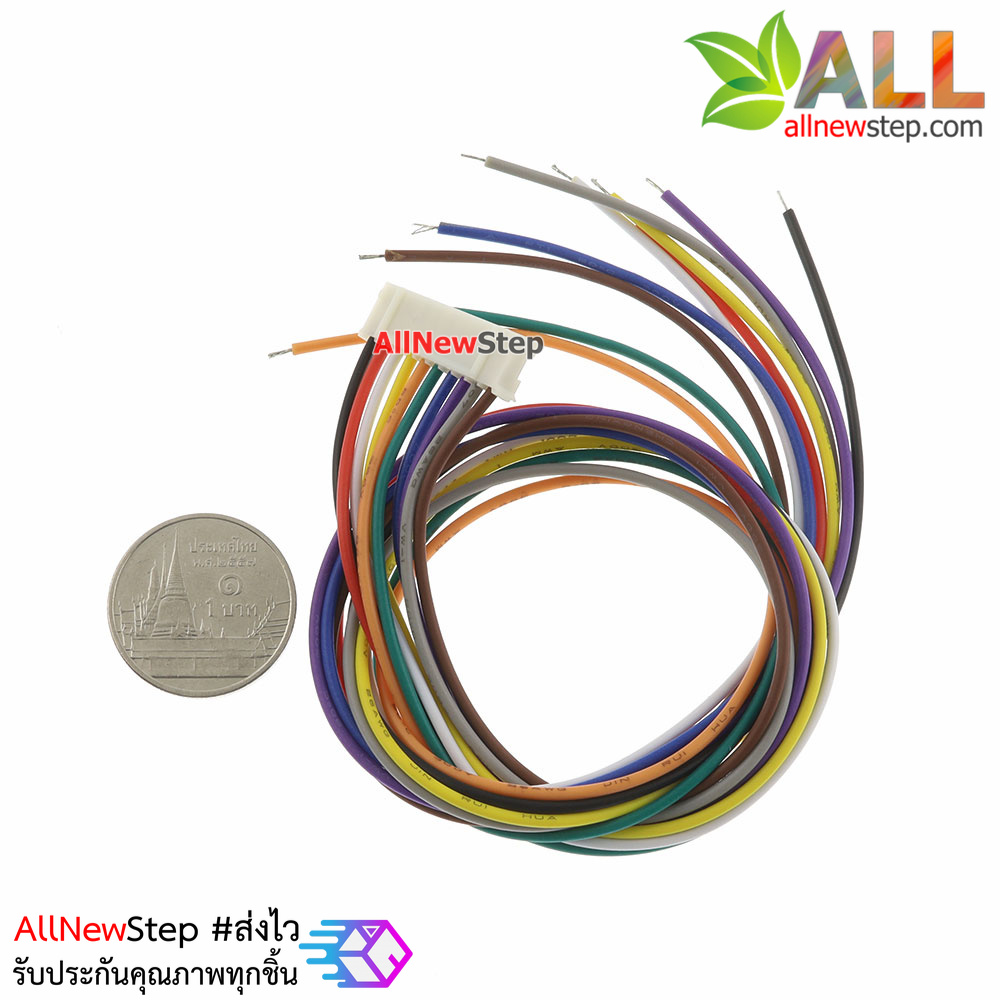 สายไฟจัมเปอร์ PH2.0 10p ระะห่างระหว่างขา 2.0mm สายไฟ 10 เส้น ยาว 30 cm