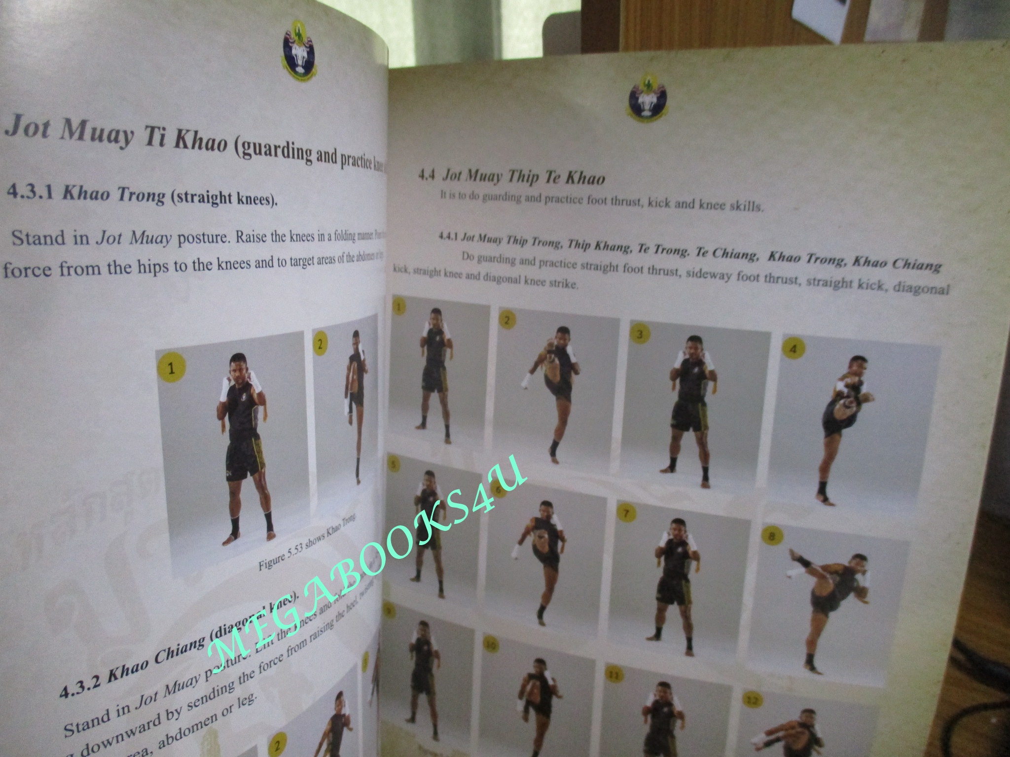 หนังสือ แม่ไม้มวยไทย หลักสูตรมวย 9 ขั้น MUAYTHAI 9 LEVELS