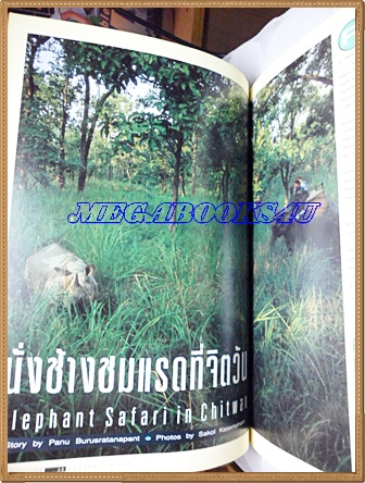นิตยสารสารคดี ฉบับที่132 ปีที่11 กุมภาพันธ์ 2539 รถถัง,อุทยานแห่งชาติจิตวัน,ล่องน้ำอู,ร้อยเอ็ด,