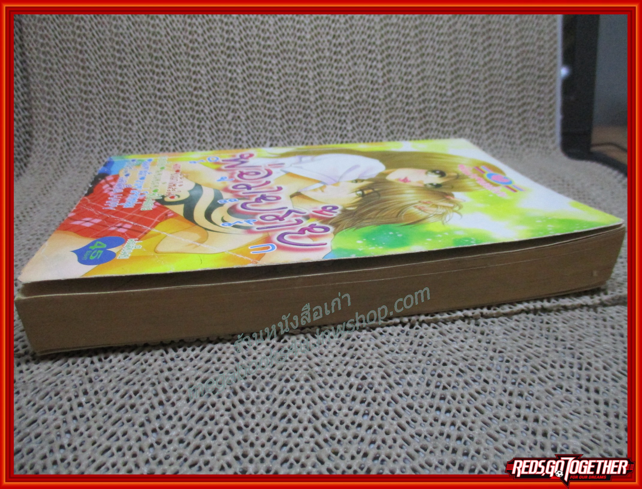 พ่อวายร้าย ริจะรัก เล่มเดียวจบ สนพ.หมึกจีน