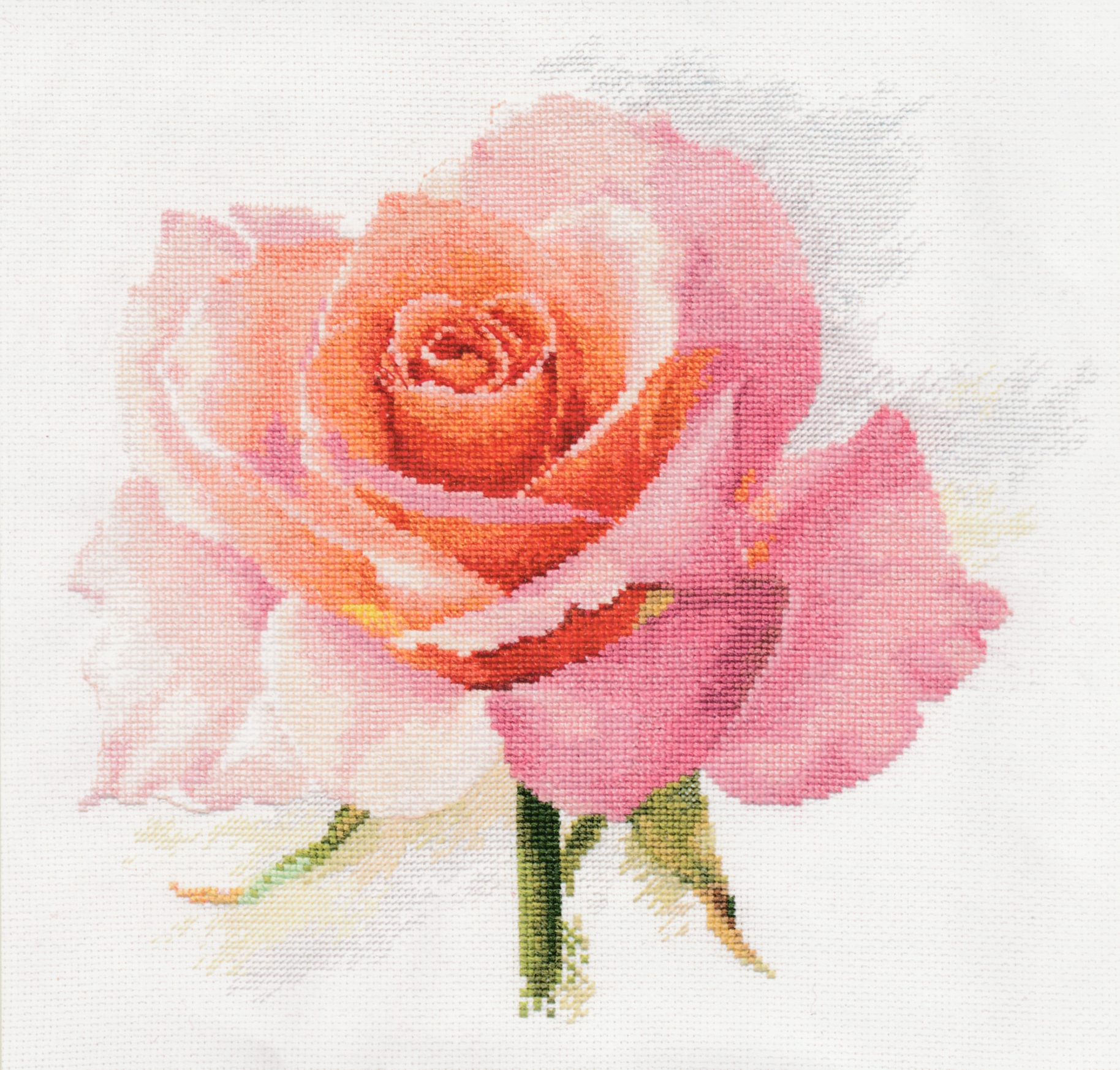 Alisa ชุดปัก The breath of Rose.Tenderness