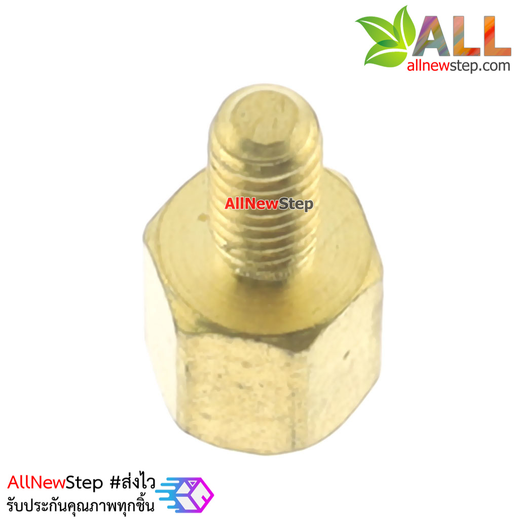 Nut screw m2.5 น็อตสกรู M2.5 ขนาด 6+6mm