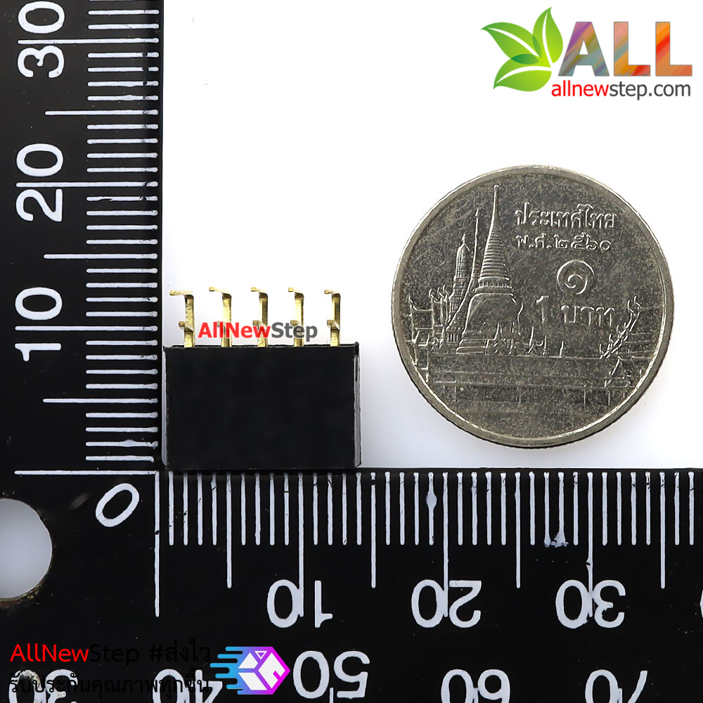 ขาก้างปลาตัวเมียแบบฉาก 2x5 ขา Double Row Hole Jack 2x5 PIN Header 2.54mm