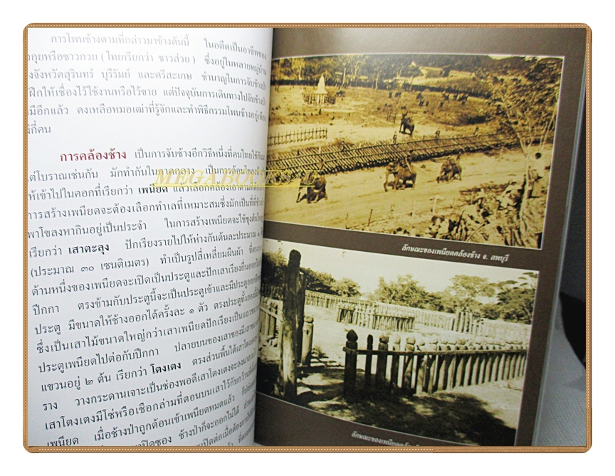 สารานุกรมไทยสำหรับเยาวชนฉบับเสริมการเรียนรู้ เล่ม12 โดยพระราชประสงค์ในพระบาทสมเด็จพระเจ้าอยู่หัว