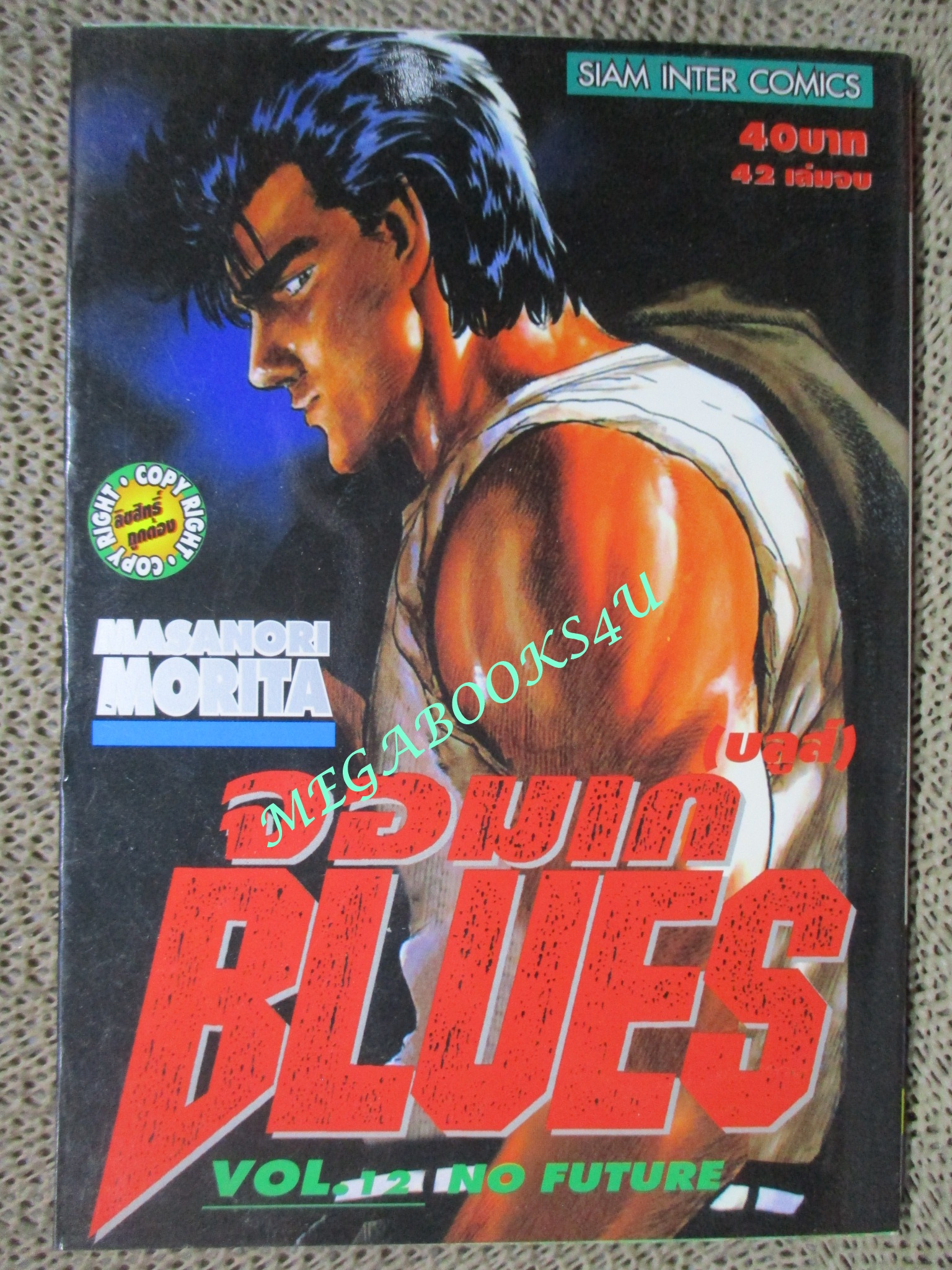 การ์ตูนบ้าน จอมเก BLUES (บูลส์) เล่ม12 / MASANORI MORITA สนพ.สยาม