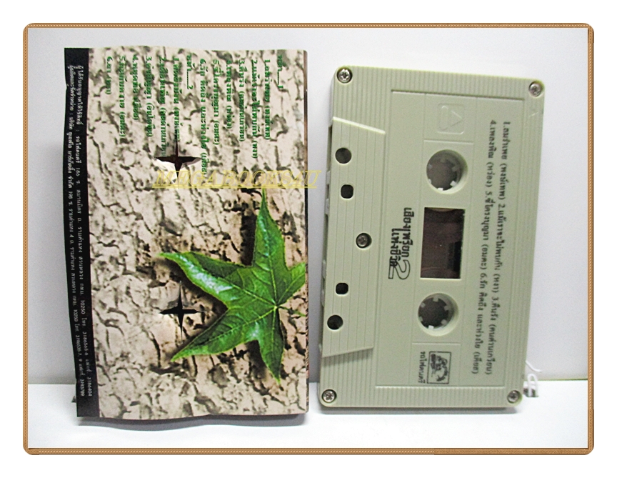 เทปเพลงเพื่อชีวิต เสียงเพรียกแห่งชีวิต ชุด2