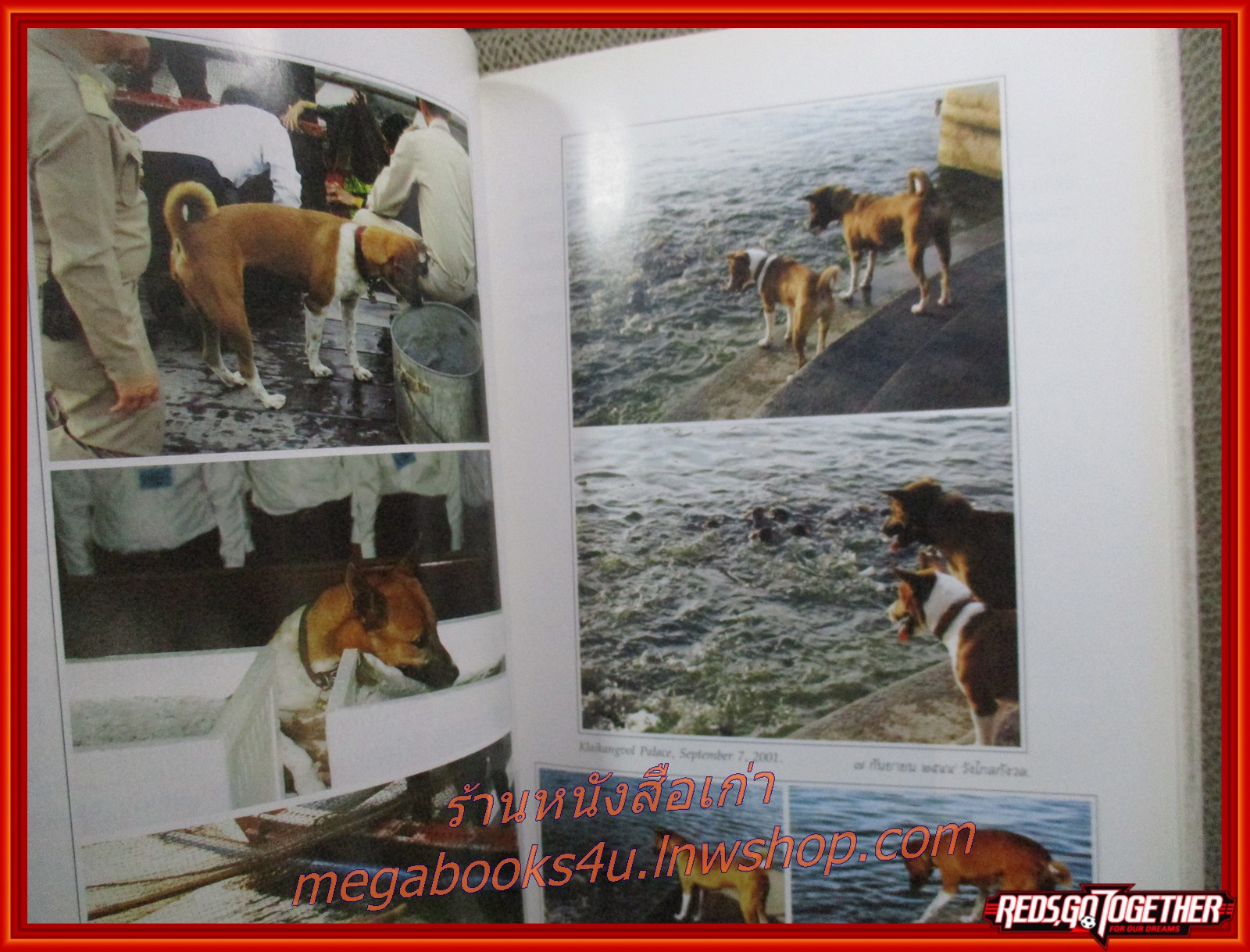 เรื่องทองแดง (THE STORY OF TONGDAENG) พระราชนิพนธ์ พระบาทสมเด็จพระเจ้าอยู่หัวภูมิพลอดุลยเดช