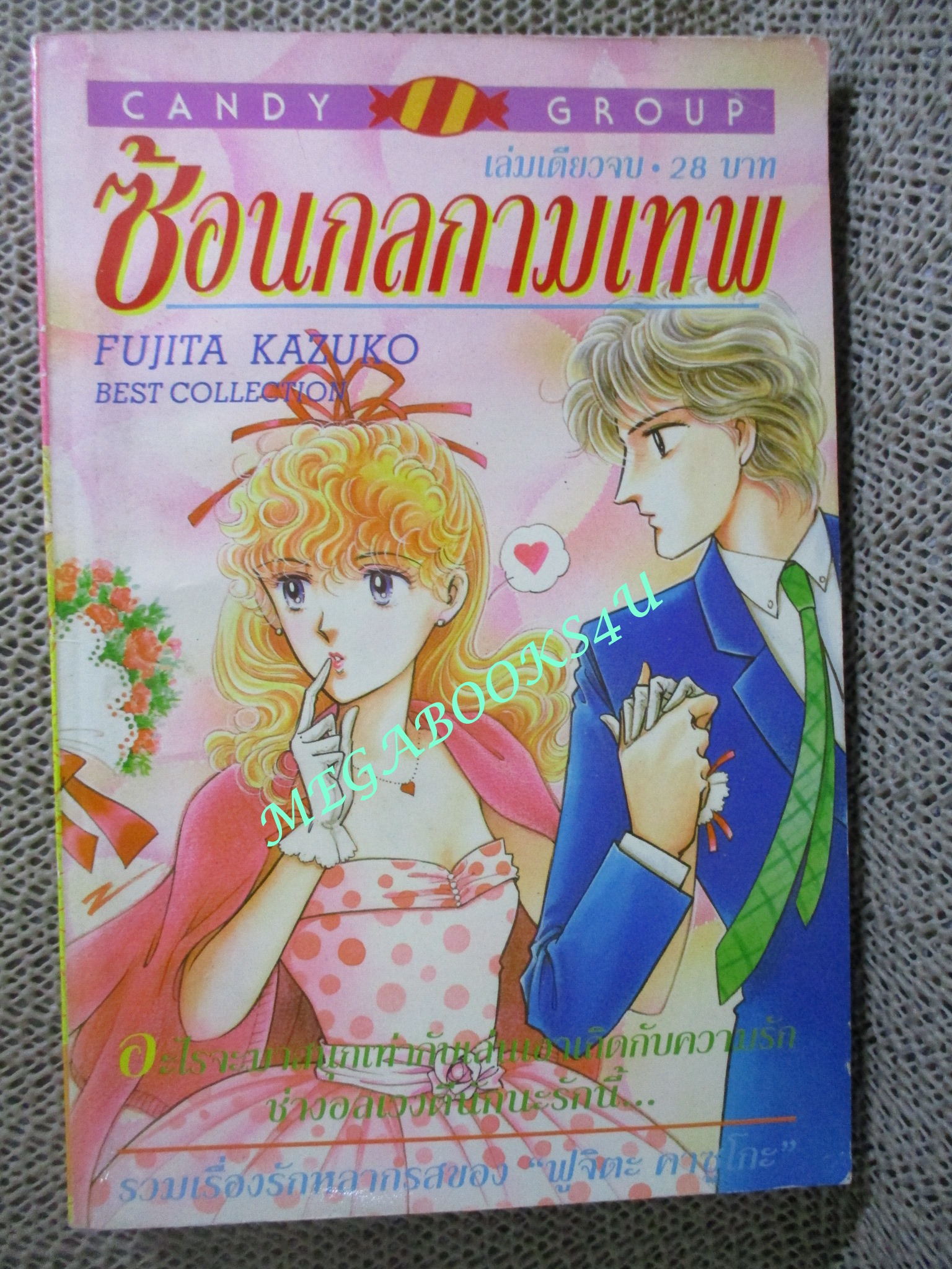 ซ้อนกลกามเทพ / FUJITA KAZUKO / เล่มเดียวจบ / สนพ. CANDY การ์ตูนบ้าน