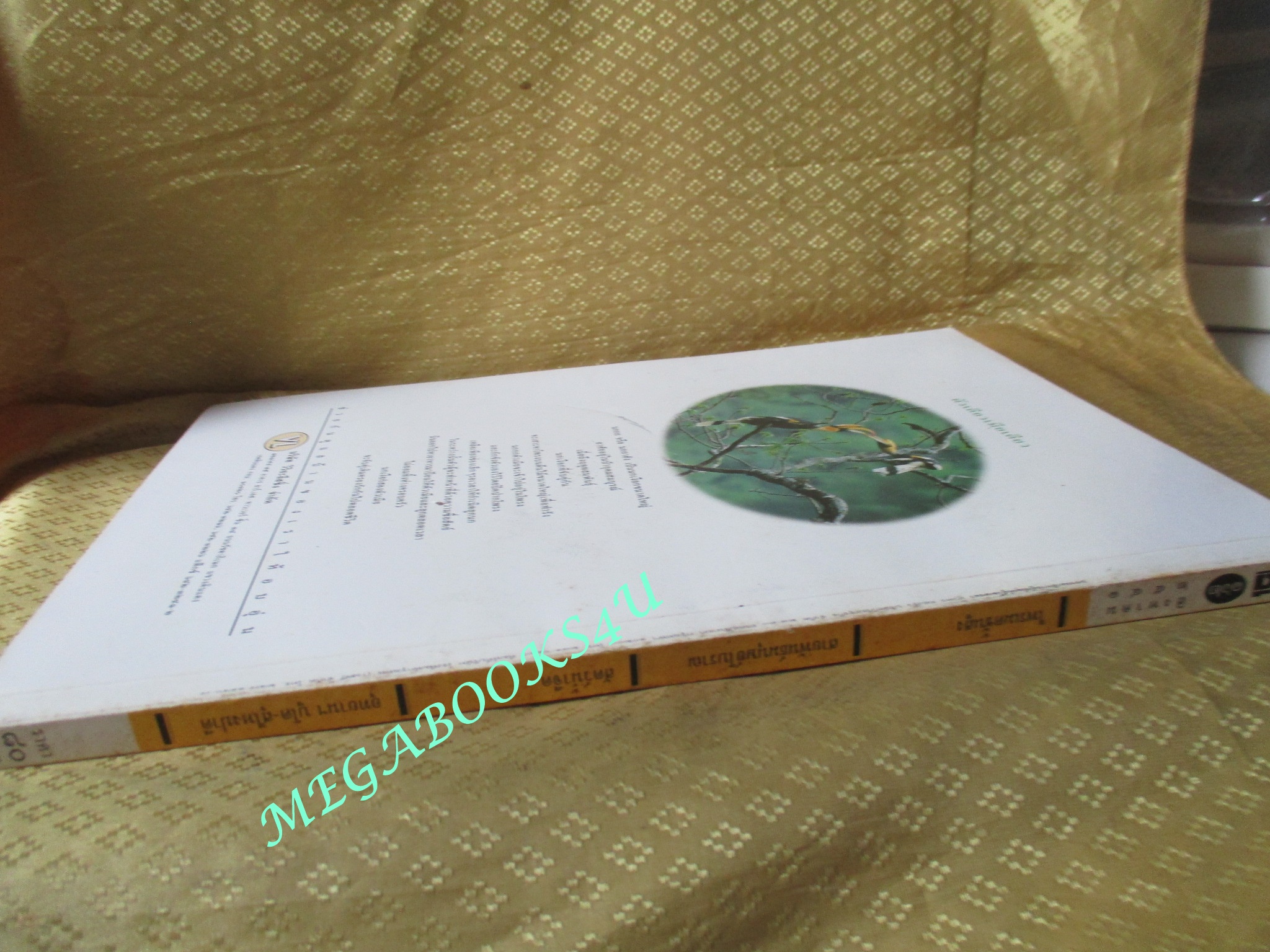 นิตยสารสารคดี ฉบับที่162 สิงหาคม 2541 รุ่งอรุณแห่งวิวัฒนาการสู่ลิงใหญ่บนแผ่นดินไทย การค้นหาปริศนามนุษย์