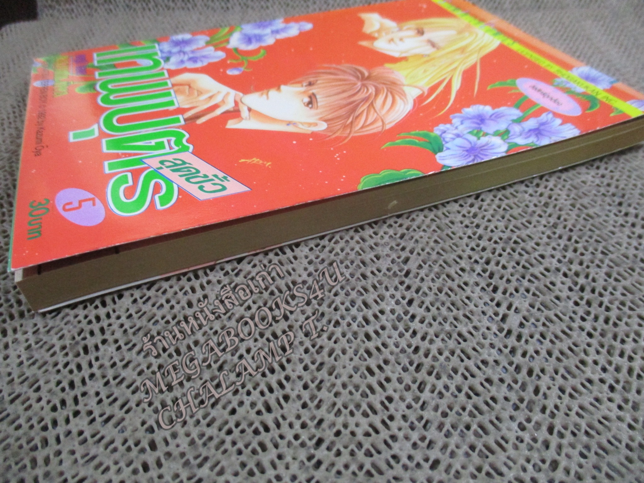 เทพบุตรสุดขั้ว / KAZUMI OYA / ครบชุด 5 เล่มจบ สนพ.สยามฯ