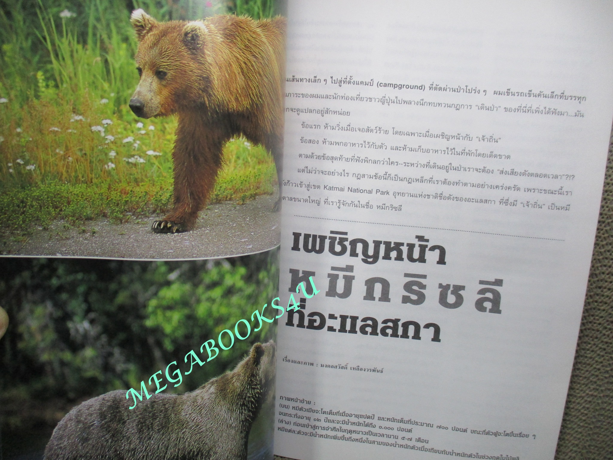 นิตยสารสารคดี ฉบับที่191 ปี2544 หมีกริซลี, โนราโรงครู , ส.ค.ส.ฉบับแรกของไทย
