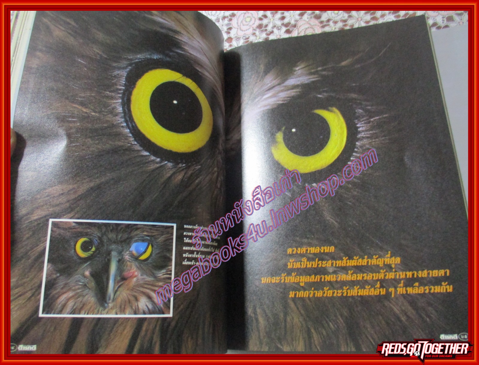 นิตยสารสารคดี ฉบับที่064 2533 ดวงตาสัตว์ เฟื้อ หริพิทักษ์ ตอน๑ สัมภาษณ์ พงษ์เทพ กระโดนชำนาญ วงคาราวานที่นครวัด