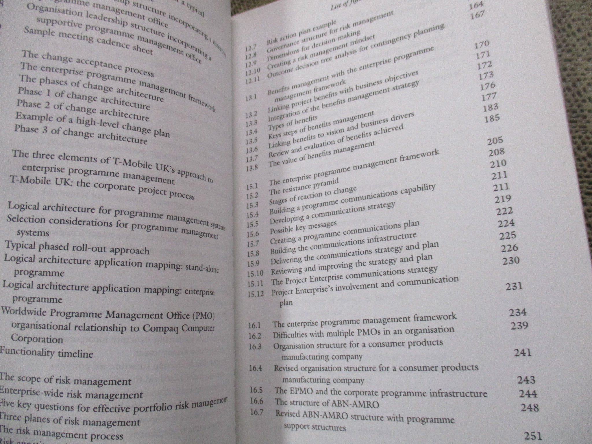 Enterprise Programme Management: Delivering Value / David Williams , Tim Parr / การเพิ่มประสิทธิภภาพในองค์กร