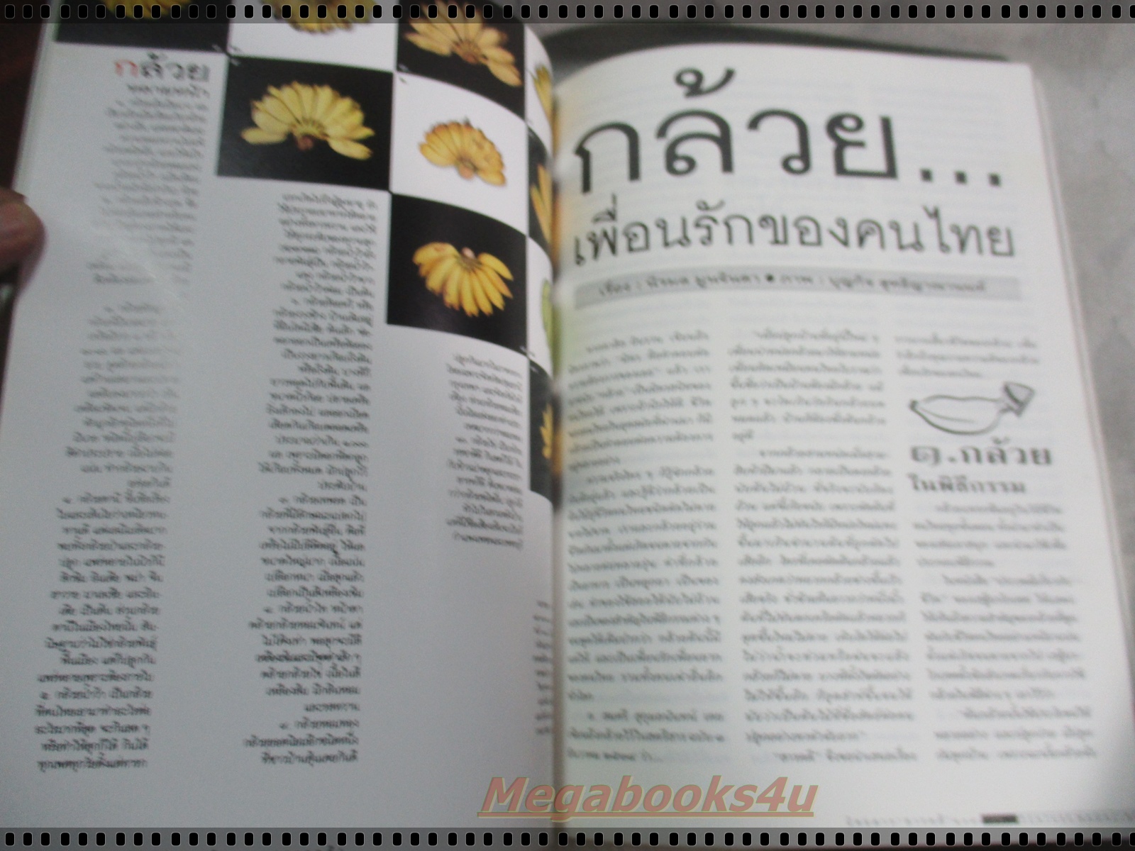 นิตยสารสารคดี ฉบับที่125 ปีที่11 กรกฏาคม 2538;เรื่องกล้วย,นักสืบ,โบดี,ยโสธร