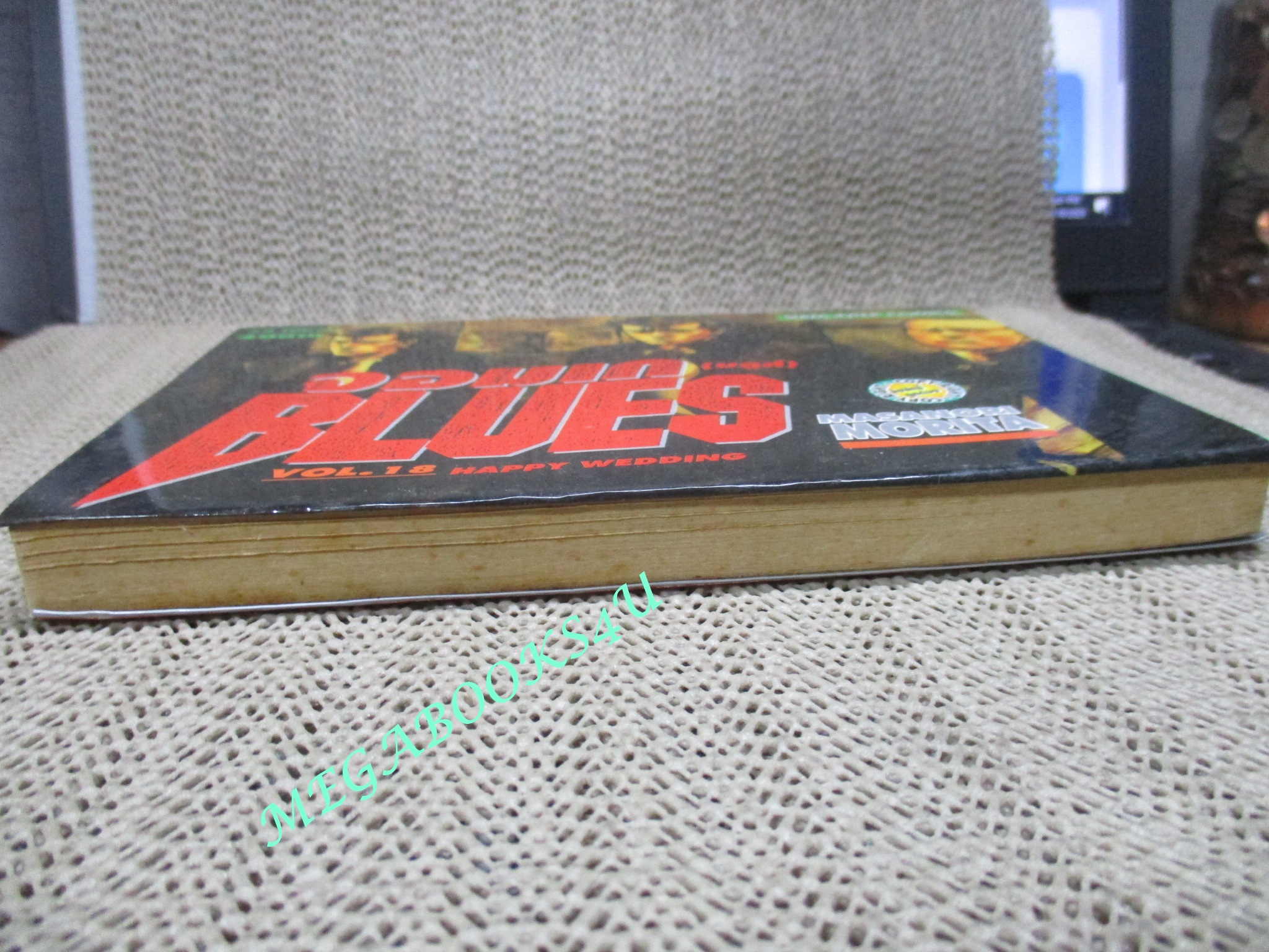 การ์ตูนบ้าน จอมเก BLUES (บูลส์) เล่ม18 / MASANORI MORITA สนพ.สยาม