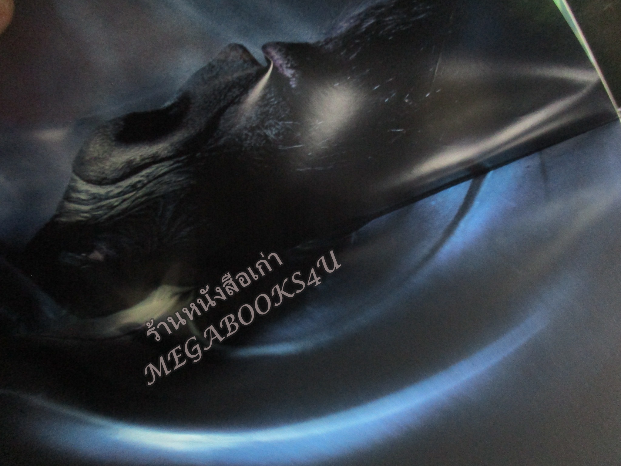 นิตยสารเอนเตอร์เทน Entertain ฉบับที่0631 ปี2544 ปก Original Sin หน้ากลาง Planet of the Apes