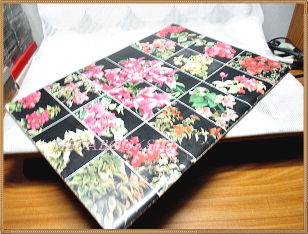 เฟื่องฟ้า โดย ดร.ณรงค์ โฉมเฉลา จัดพิมพ์โดยสมาคมไม้ประดับแห่งประเทศไทย สภาพดี