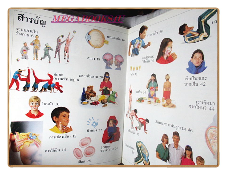 หนังสือมือสอง หนังสือเด็กรักลูก ห้องสมุดแสนสนุก เรื่อง ร่างกายของเรา
