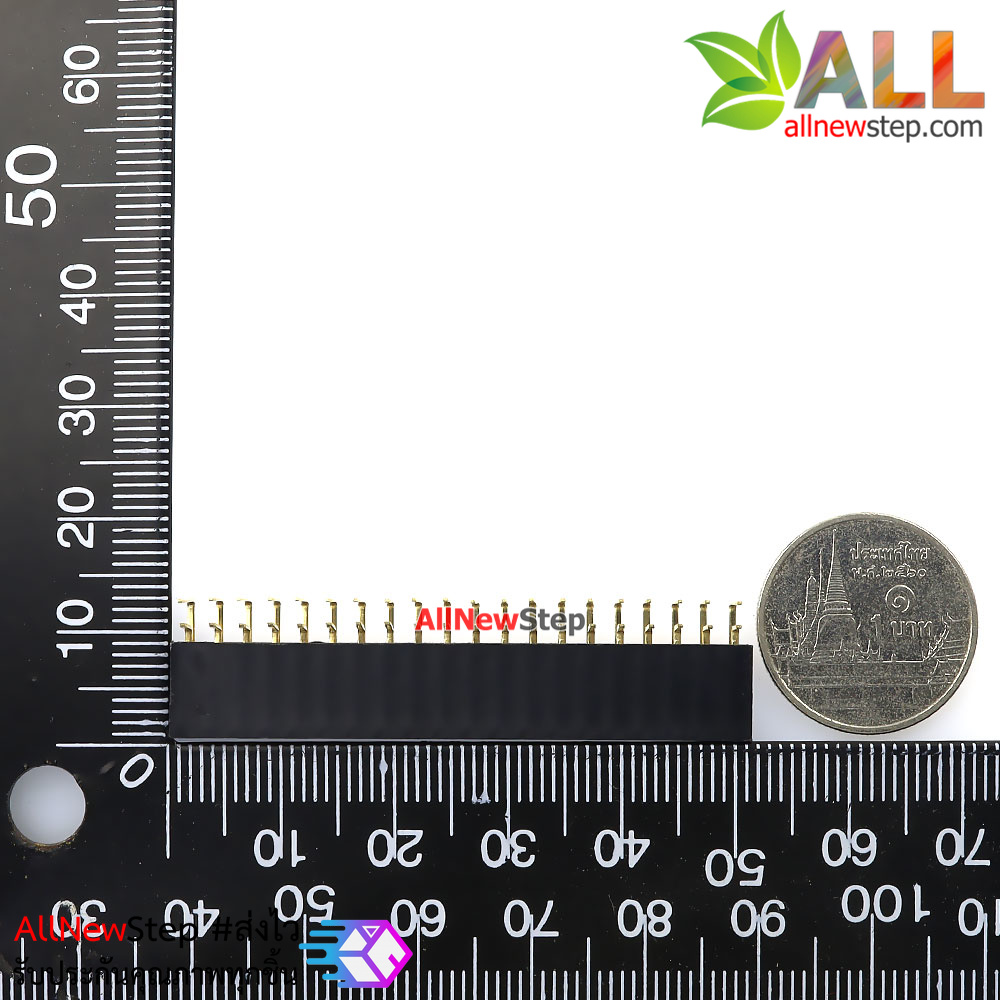 ขาก้างปลาตัวเมียแบบฉาก 2x20 ขา Double Row Hole Jack 2x20 PIN Header 2.54mm