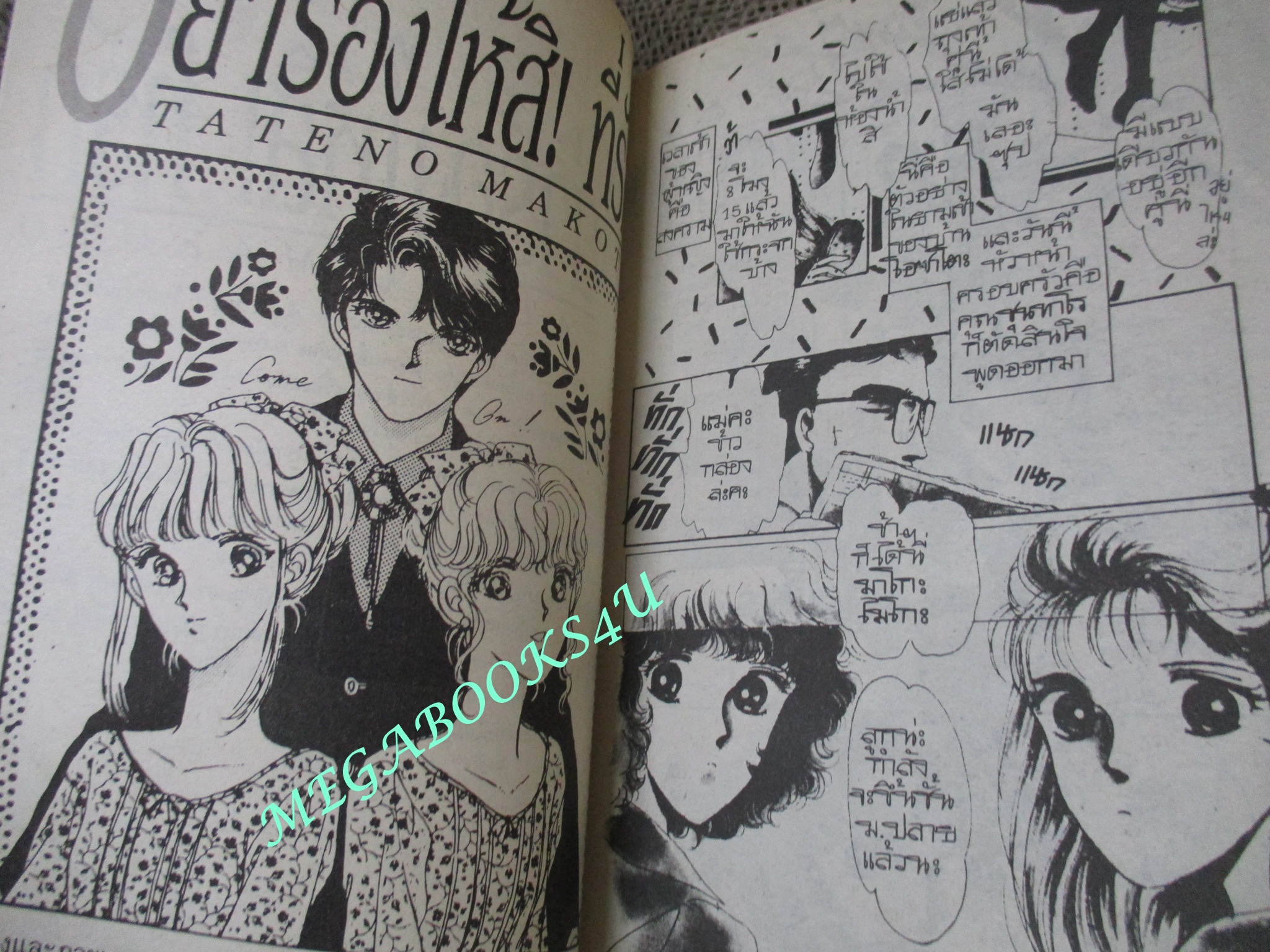 อย่าร้องไห้สิ ที่รัก / TATENO MAKOTO / เล่มเดียวจบ / สยามฯ /