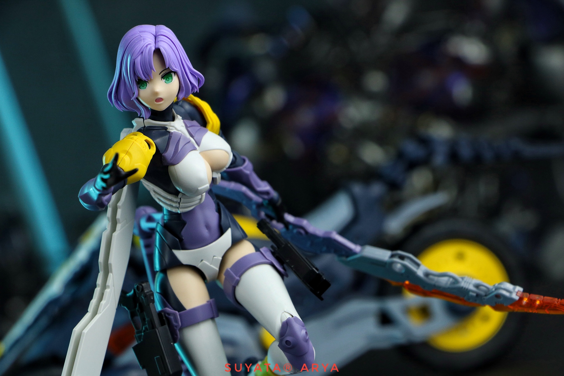 1/12 Arya The HunterS POEM