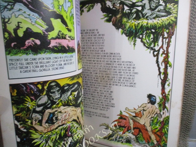 การ์ตูนคลาสสิค ทาร์ซาน TARZAN OF THE APES - Burne Hogarth ภาคภาษาอังกฤษ สภาพดี