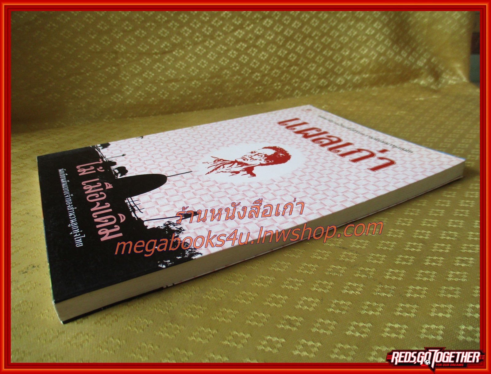 แผลเก่า /ไม้ เมืองเดิม / สนพ. ไพลิน