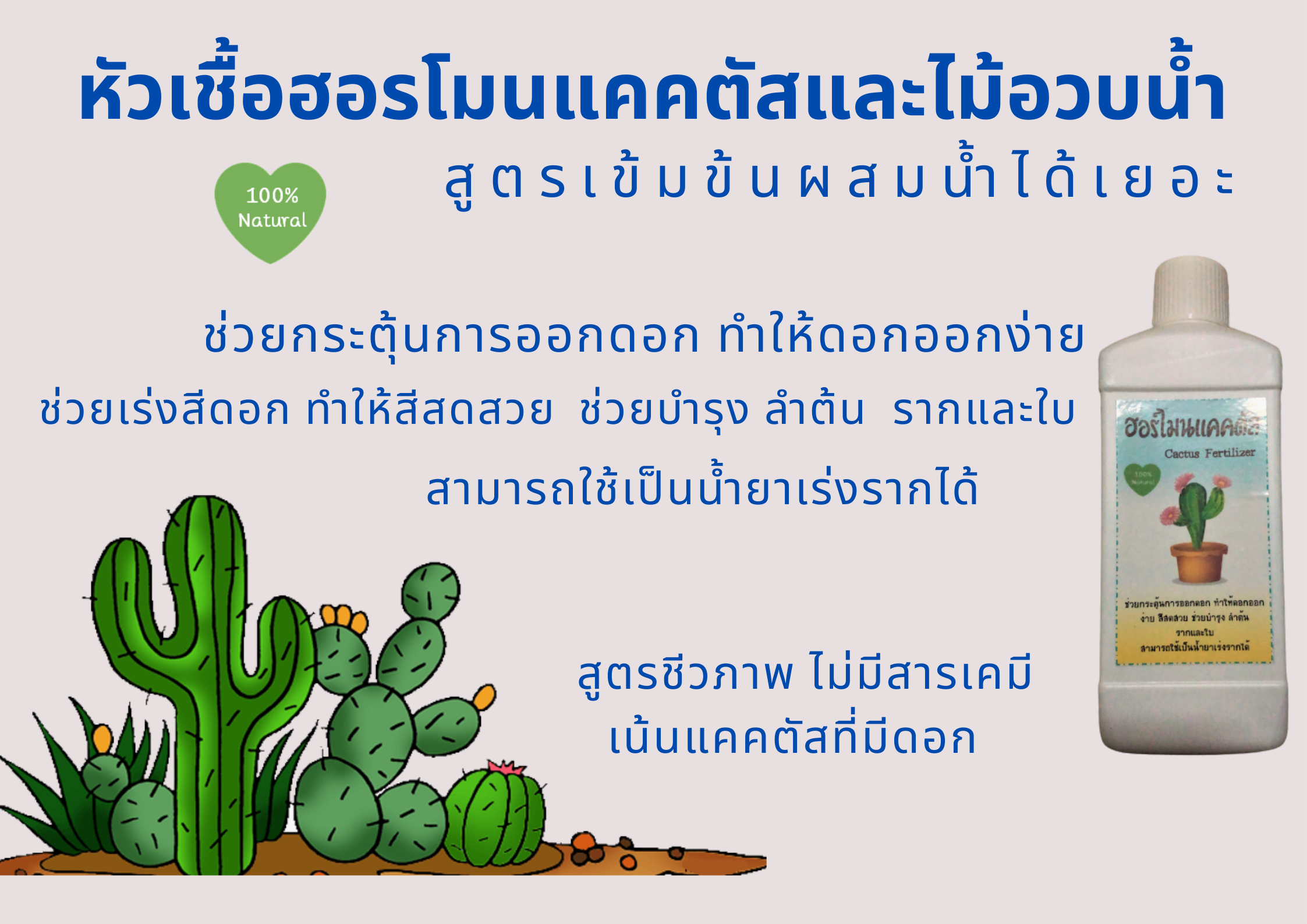 หัวเชื้อฮอร์โมนแคคตัสแบบผสมเอง (สูตรสำหรับแคคตัสที่มีดอก)
