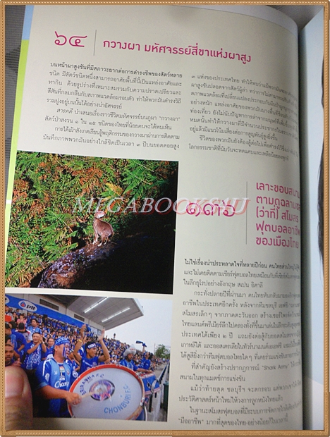 นิตยสารสารคดี ฉบับที่281 กรกฎาคม 2551 กวางผา,ฉลามชล,ปราจีนบุรี,