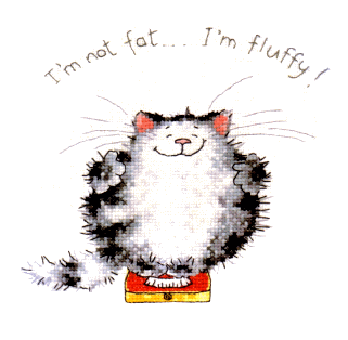 Heritage Crafts ชุดปัก I'am not fat...