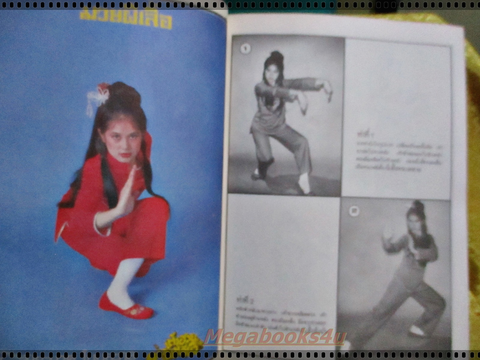 นิตยสาร ตำราฝึกมวยกังฟู ของเฉินธร ปก สมบัติ เมทะนี