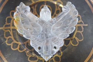ครุฑ ( Garuda )