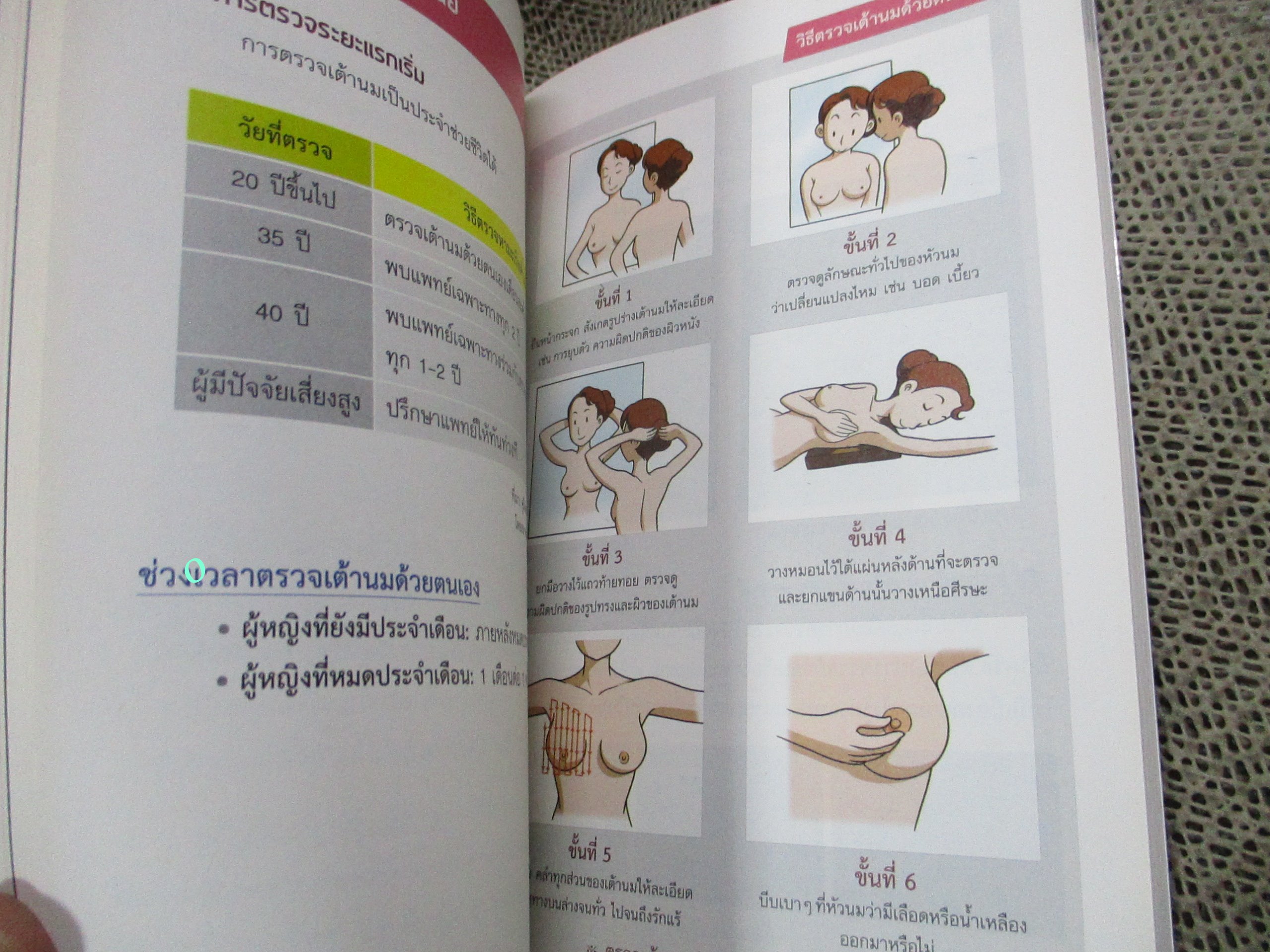 มะเร็งไม่สิ้นหวัง เล่ม1 :มะเร็งเต้านม มะเร็งปอด มะเร็งตับ (การ์ตูนสุขภาพสำหรับผู้ใหญ่ช่วยให้เข้าใจ)