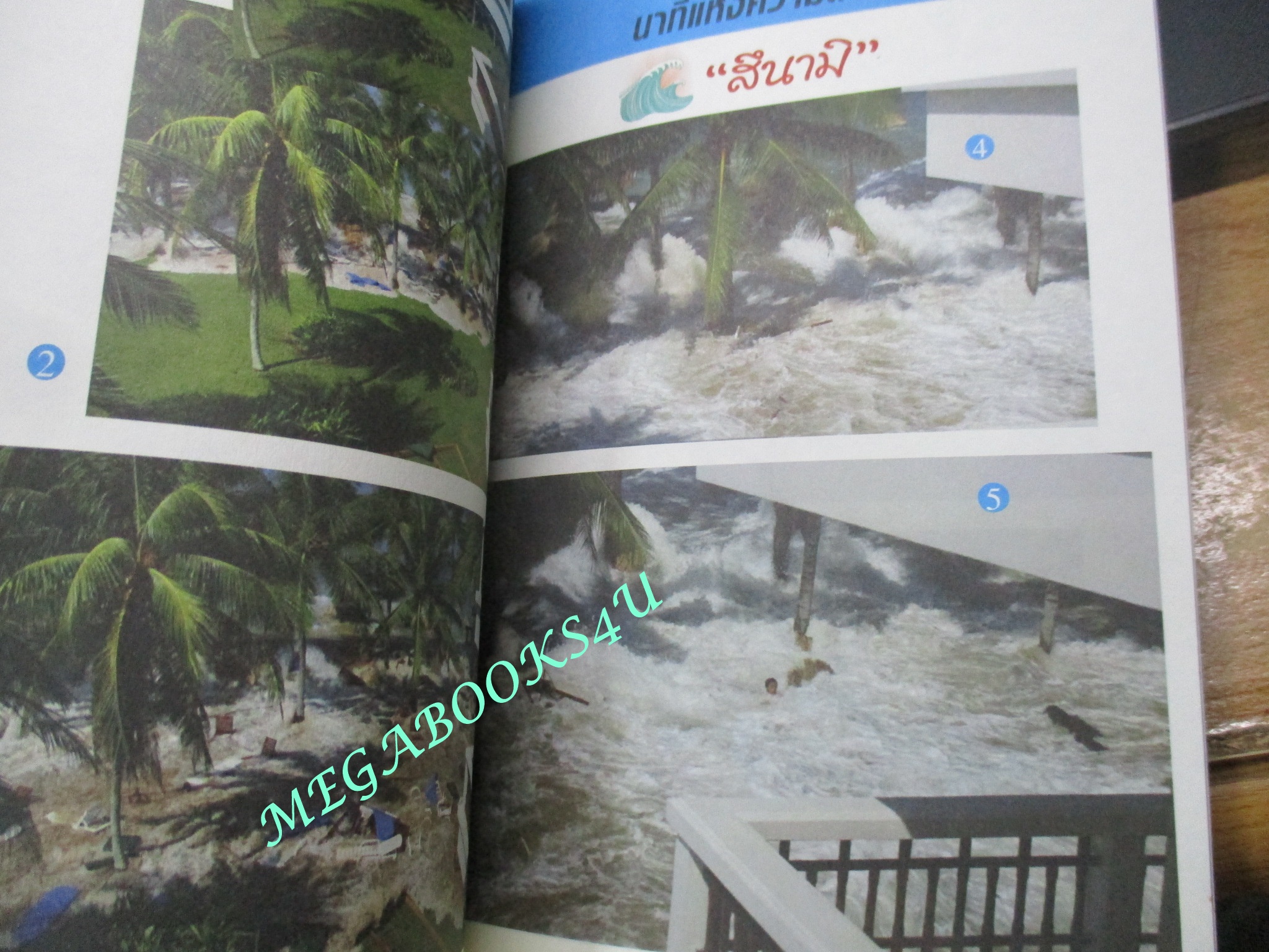 หนังสือ ติ๊ก กลิ่นสี เฉียดตาย " สึนามิ " / ชาญณรงค์ ขันทีท้าว / เค.เค.พับลิชชิ่ง (มือสอง) (สภาพ85-95%)