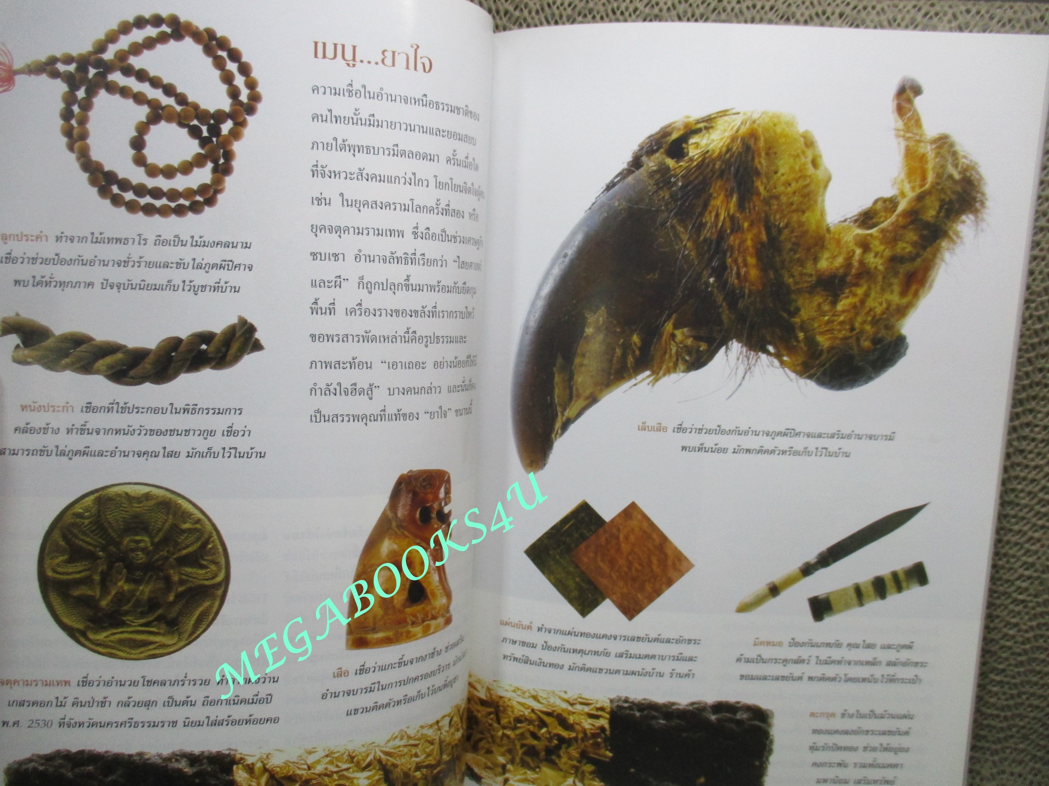 นิตยสาร เนชั่นแนลจีโอกราฟิก National Geographic ฉบับ073 2550 เตรื่องราง , อาณาจักรมายา