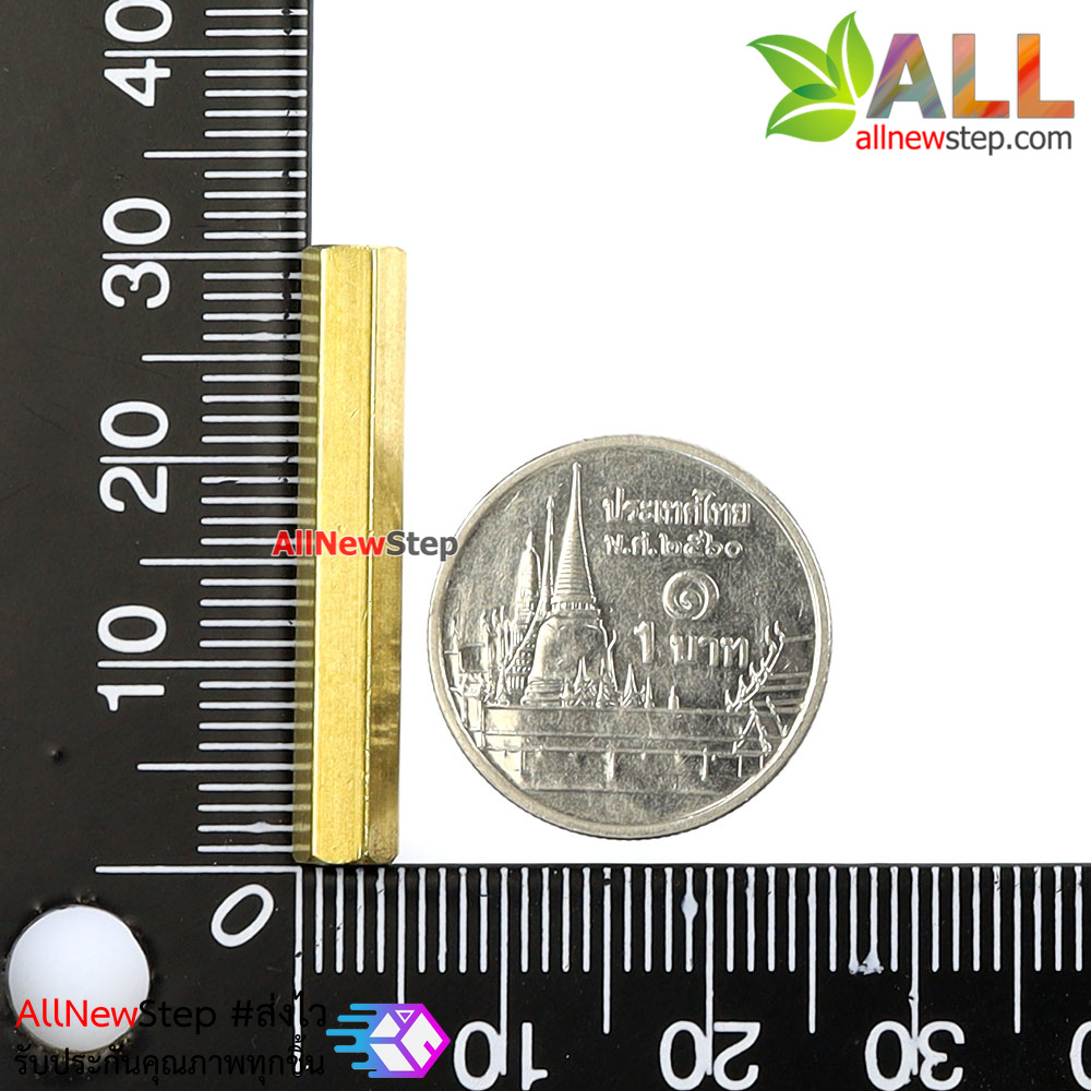 Pillars Nut M3 น็อตตัวเมีย ทองเหลืองแบบยาว 30mm