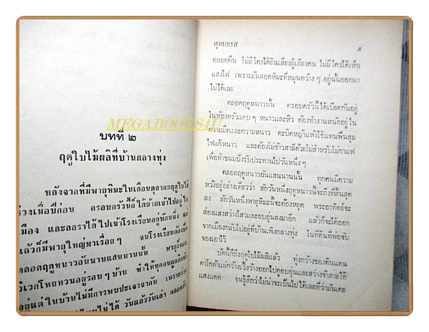 หนังสือชุดบ้านเล็ก เมืองเล็กในทุ่งกว้าง โดย สุคนธรส