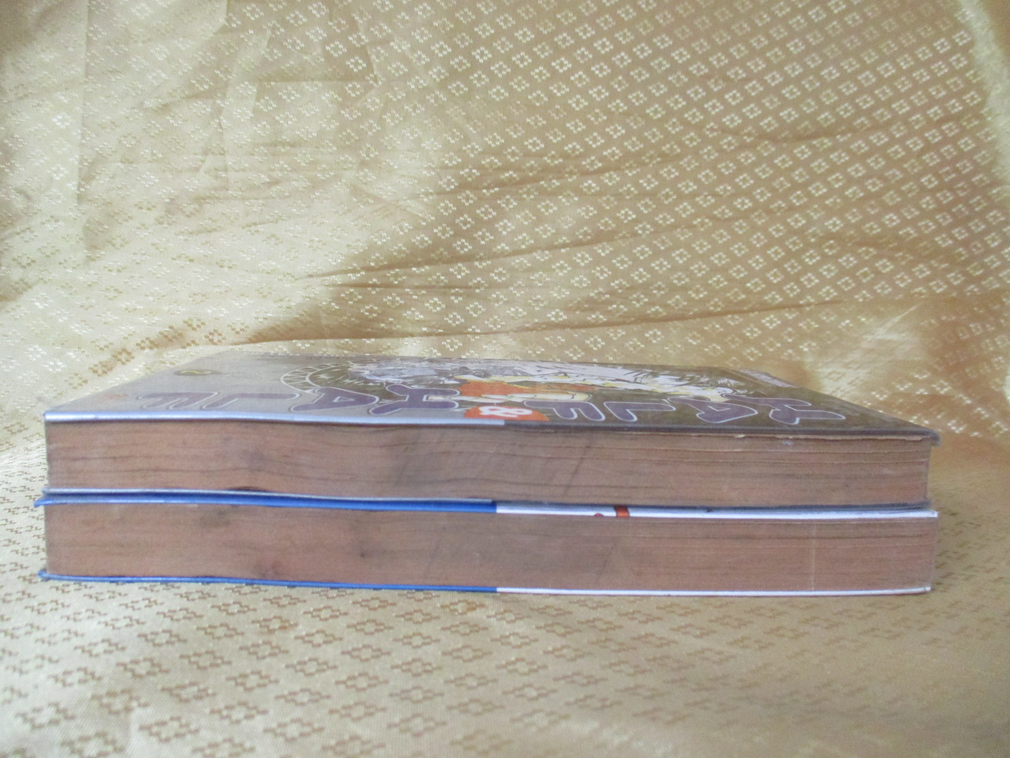 การ์ตูนเช่า HALF HALF พ่อผมเป็นปิศาจ ครบชุด2เล่มจบ สนพ.สยาม