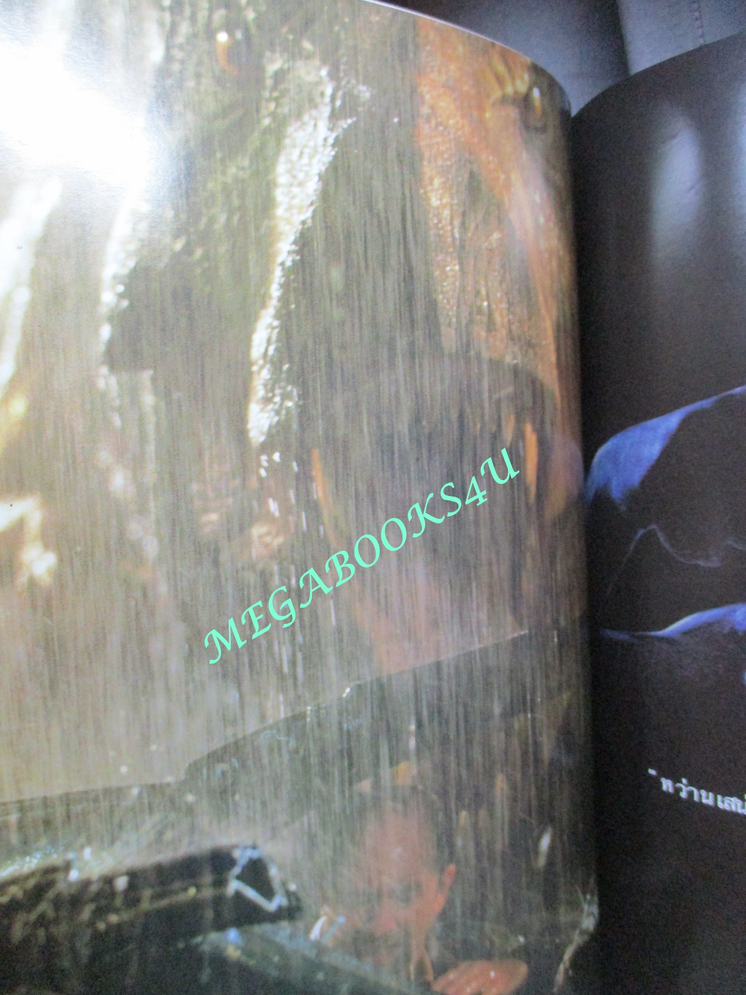 หนังสือ THE LOST WORLD , JURASSIC PARK