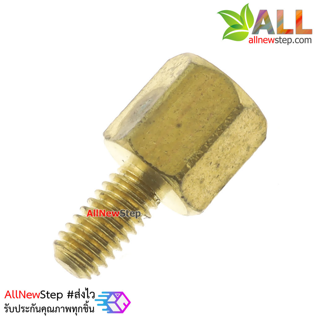 Nut screw m2.5 น็อตสกรู M2.5 ขนาด 6+6mm