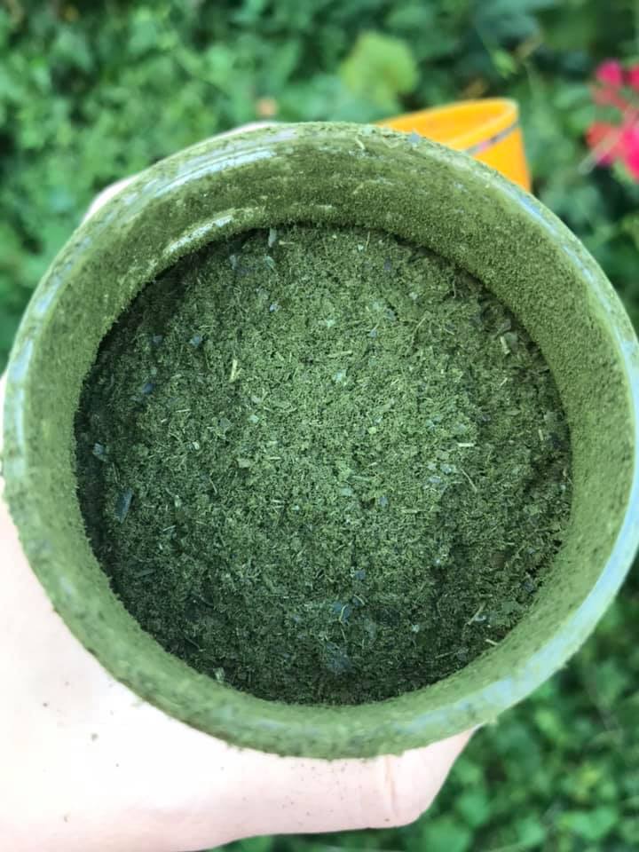 ชาใบย่านางบดแท้100% ❌ไม่ผสมแป้ง❌สีธรรมชาติ